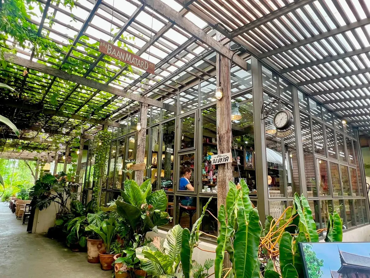 ทางเดินใต้หลังคาโปร่งของร้าน มีป้ายไม้แขวนเขียนว่า BAAN MATARD ผนังกระจกบานสูงเปิดให้เห็นด้านใน และมีไม้เลื้อยกับกระถางต้นไม้ใบใหญ่เรียงตลอดทาง